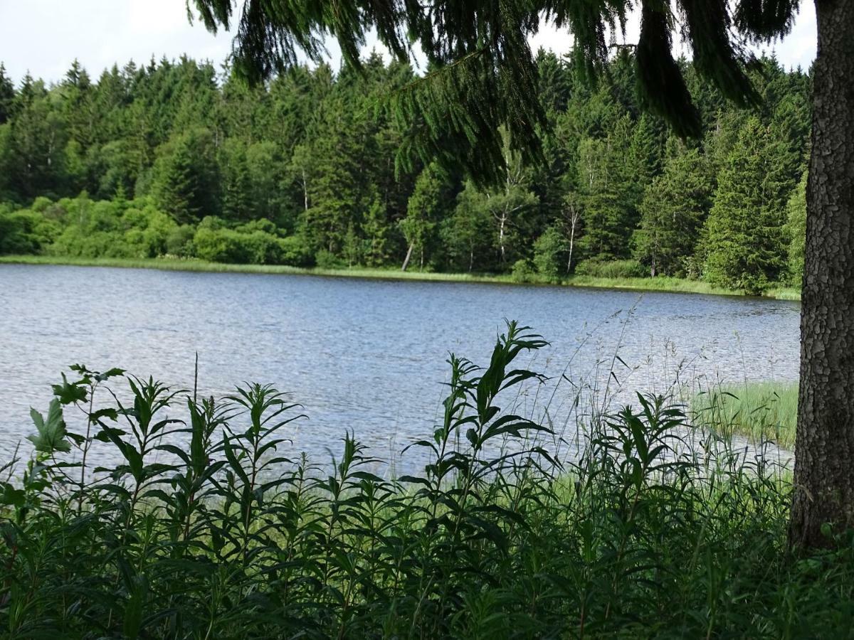 Huettenflair Am See Mit Kamin Clausthal-Zellerfeld Esterno foto